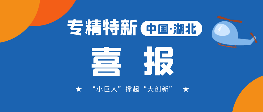 喜報!飛燕遙感成功入選省級專精特新“小巨人”企業